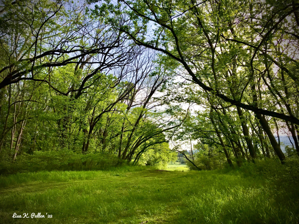 Spring Rejoices!