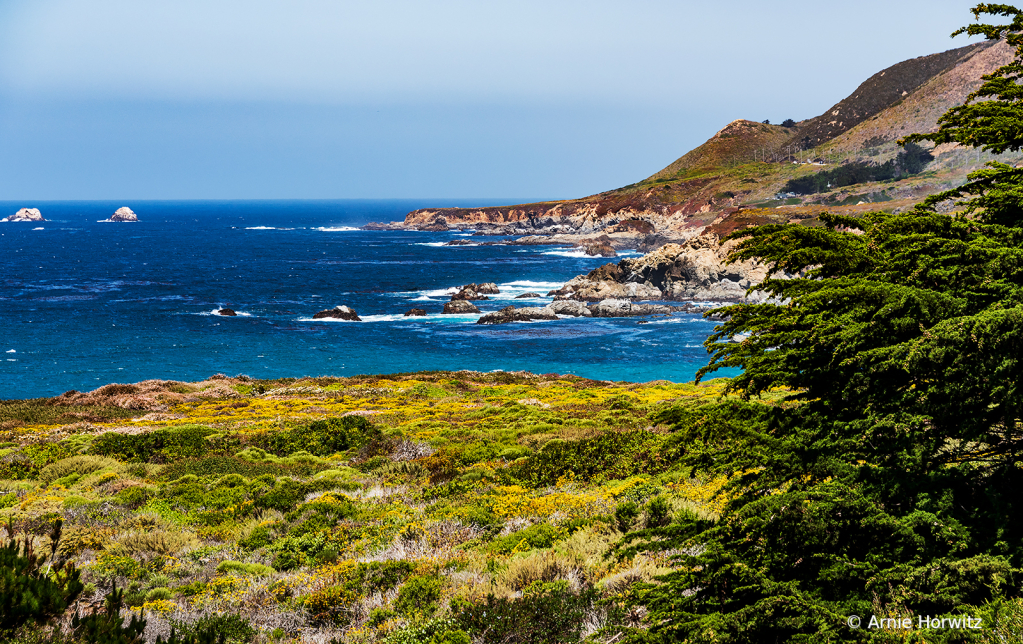 Big Sur Vista - V