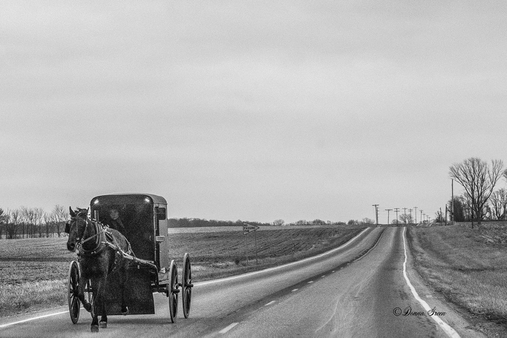 Amish Ride - ID: 16001394 © Robert/Donna Green
