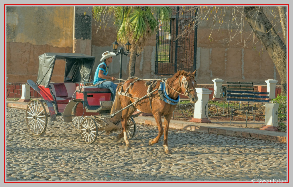 Upscale Transportation in Trinidad