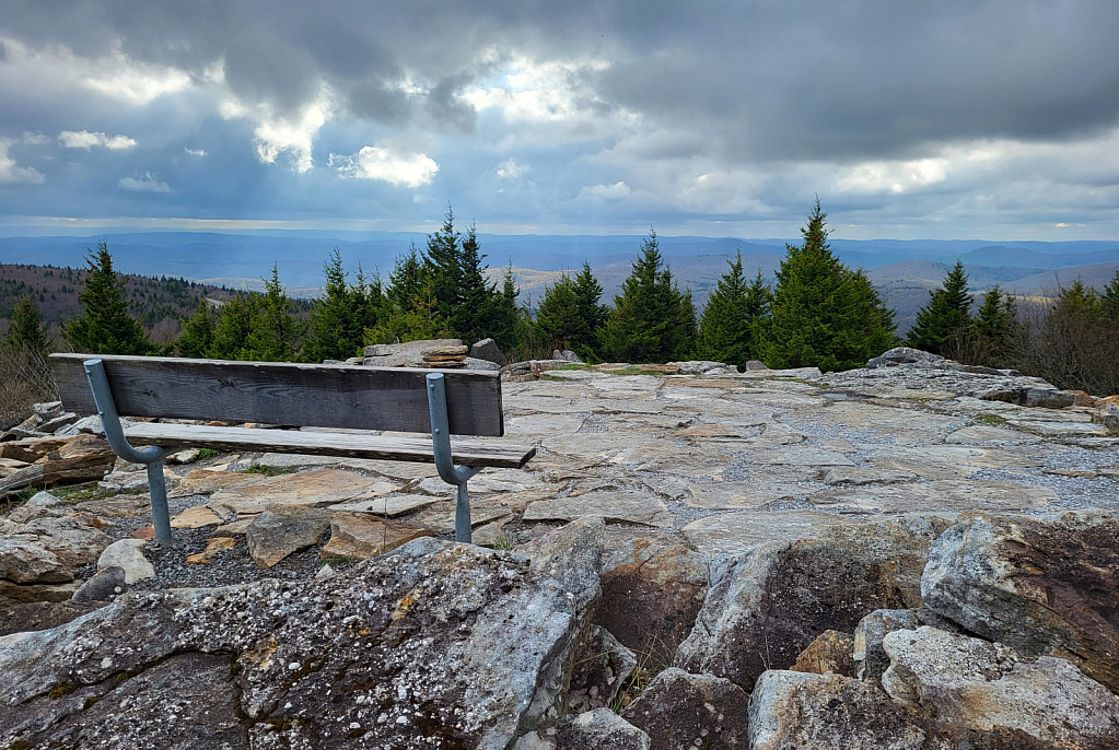 Seat With a View