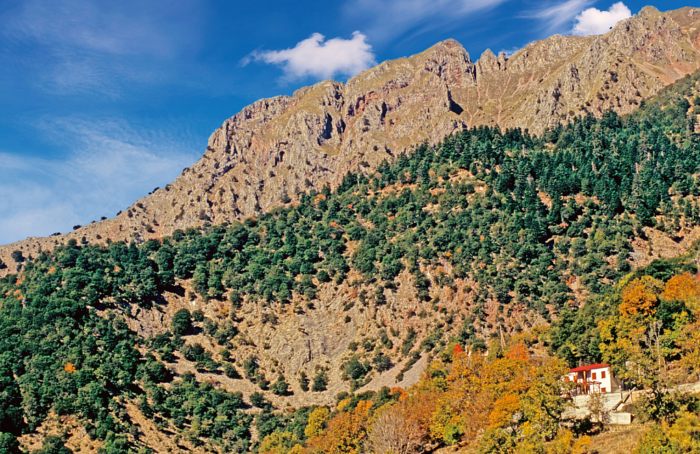 The House on the Mountain.