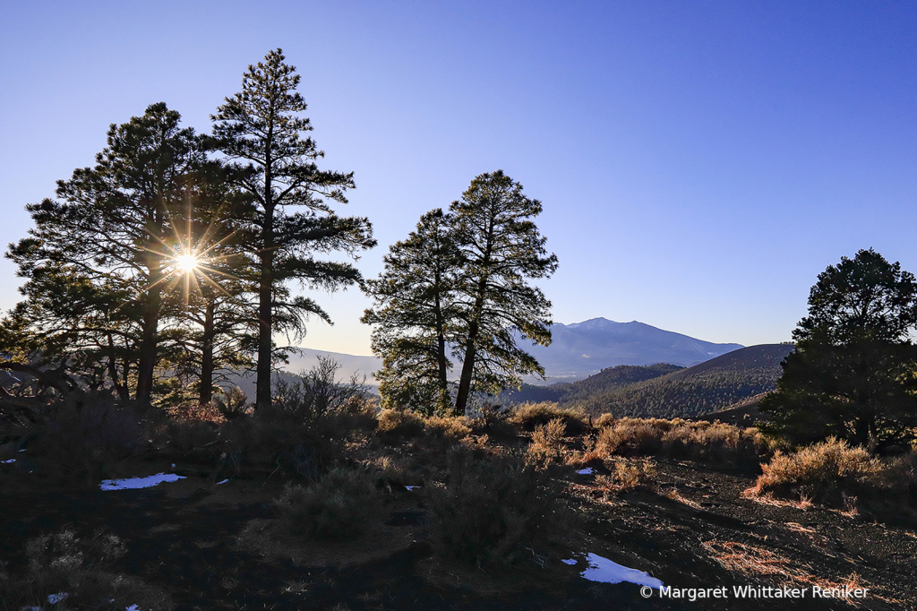 EveningSunstarFall2020164514x6copy - ID: 16001771 © Margaret Whittaker Reniker