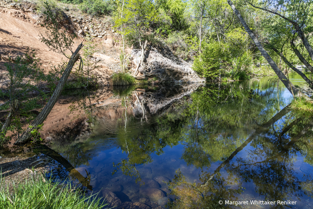 ReflectedFishingPondClouds4374Edit - ID: 16001774 © Margaret Whittaker Reniker