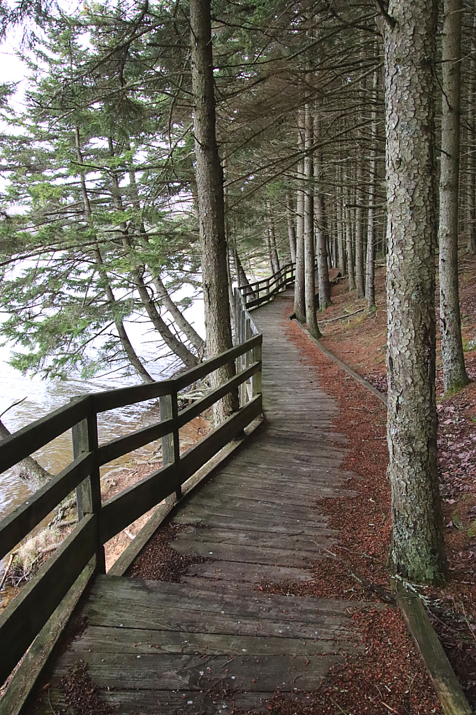 Walk Along the Lake