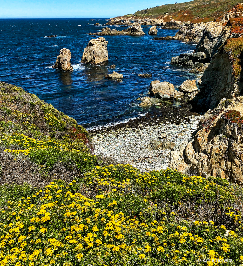 Big Sur Vista - VII