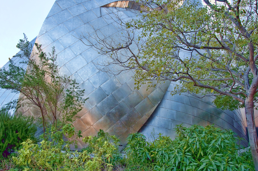 Up on the roof - ID: 16001992 © Kelley J. Heffelfinger