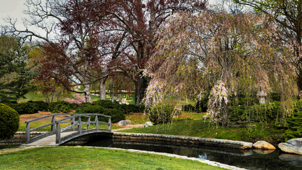 Roger Williams Park