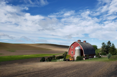 Palouse Barn