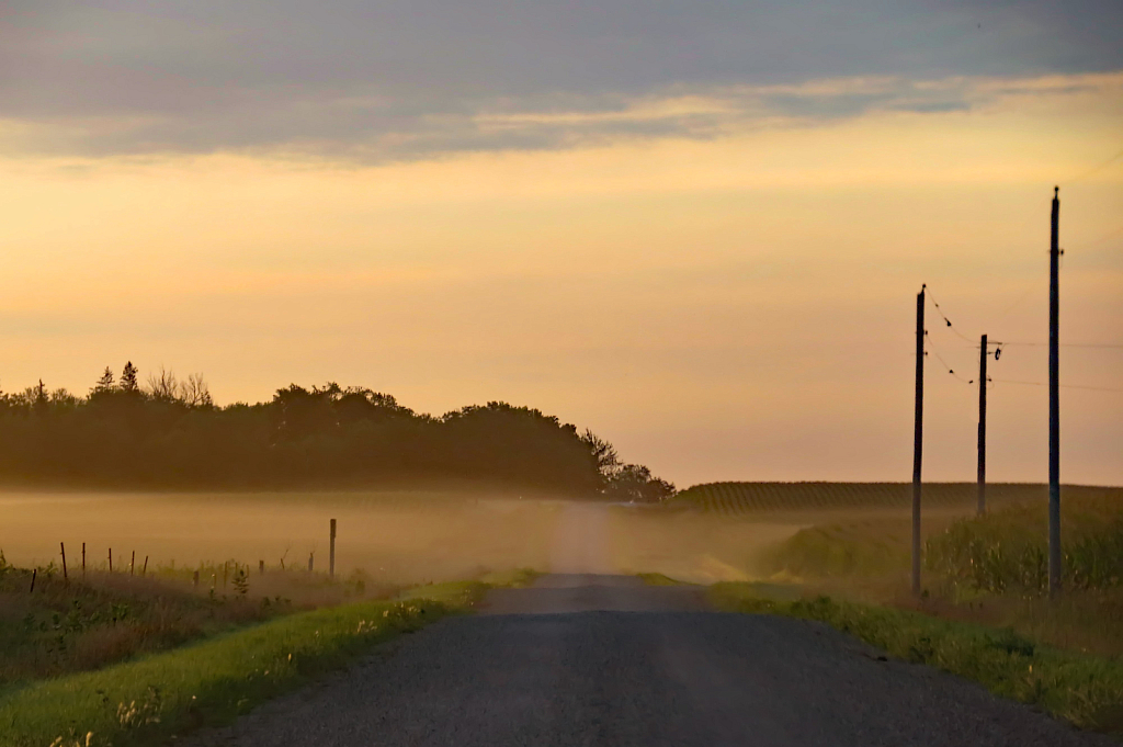 Foggy Crossing