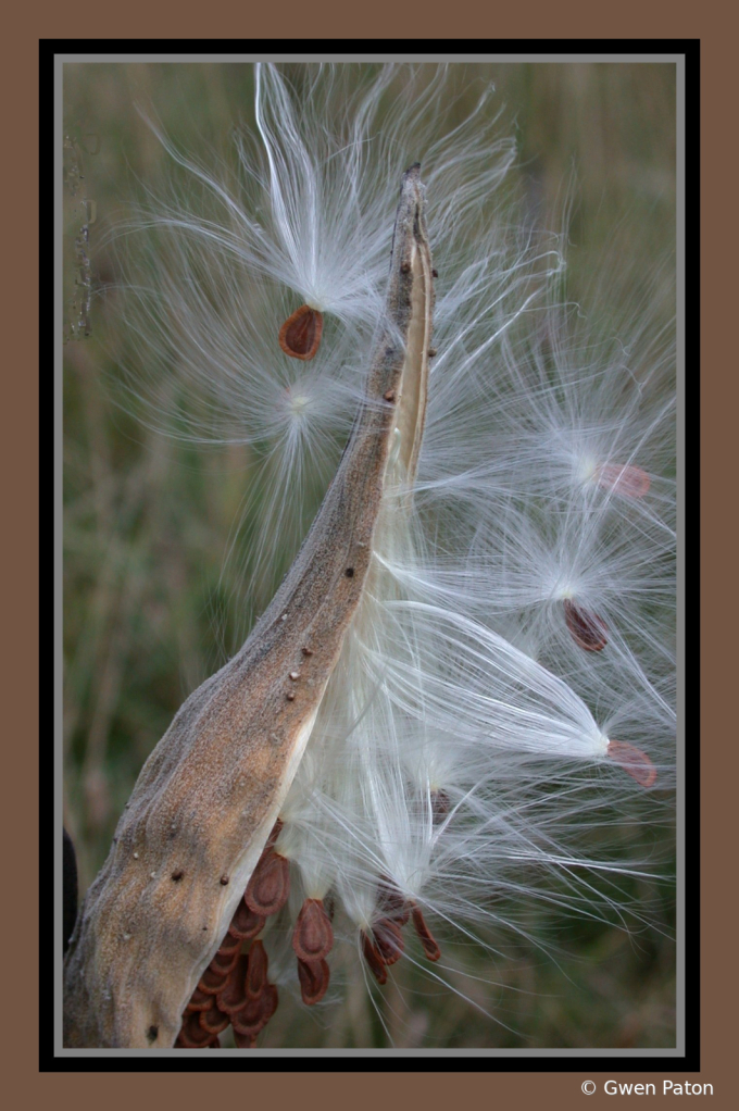 Please wind - don't blow