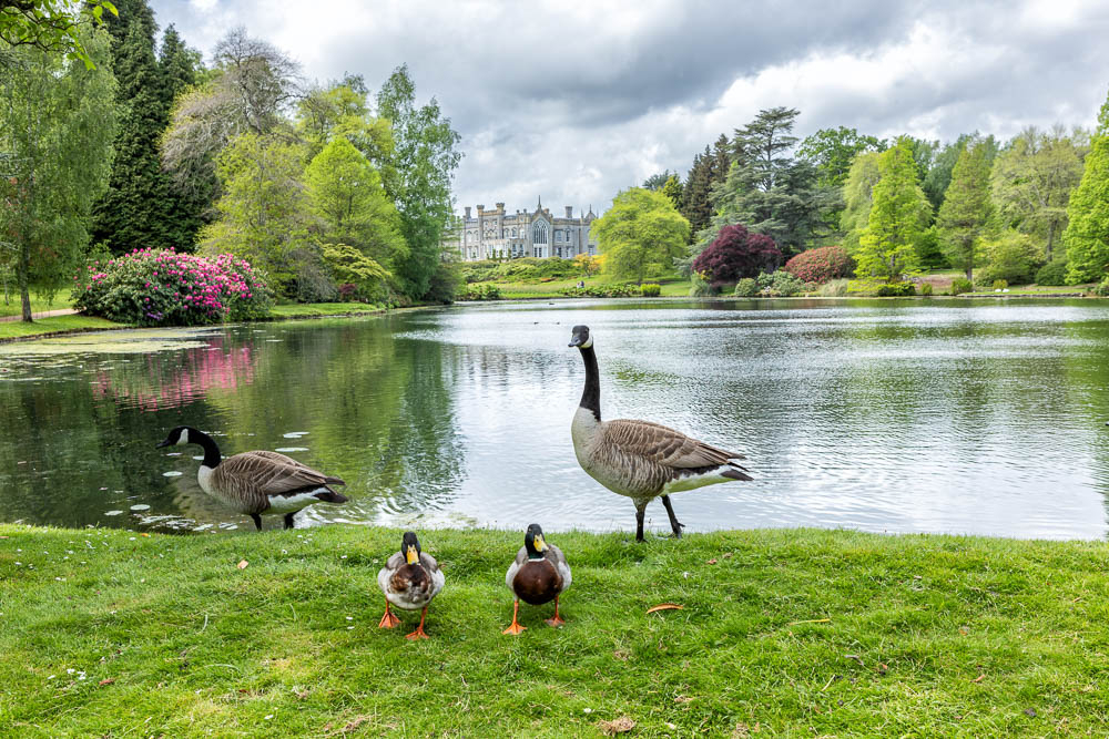 Sheffield Park