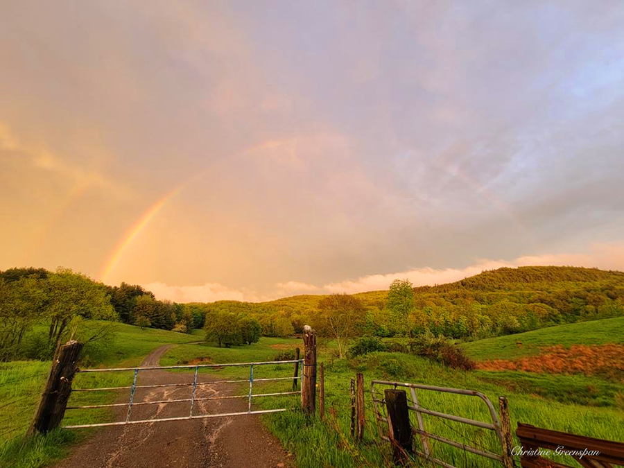 After The Thunderstorm