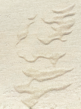 Beach Sand Designs #2