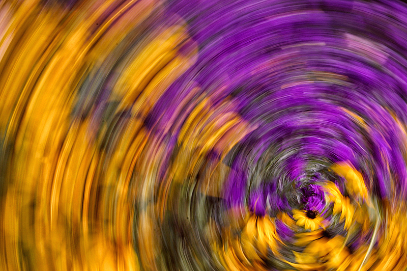 img3