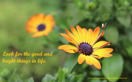 Look for the Good...