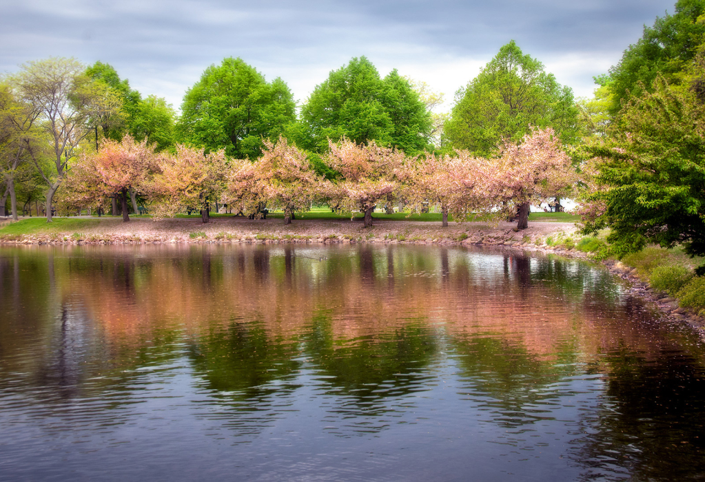 Esplanade Spring