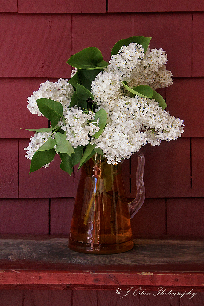 Lilacs in Yellow Vase