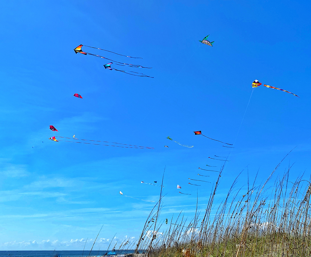 Beach Flights