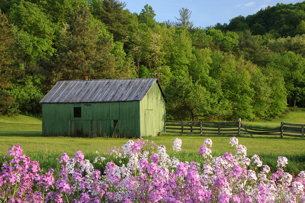 Spring in the Country