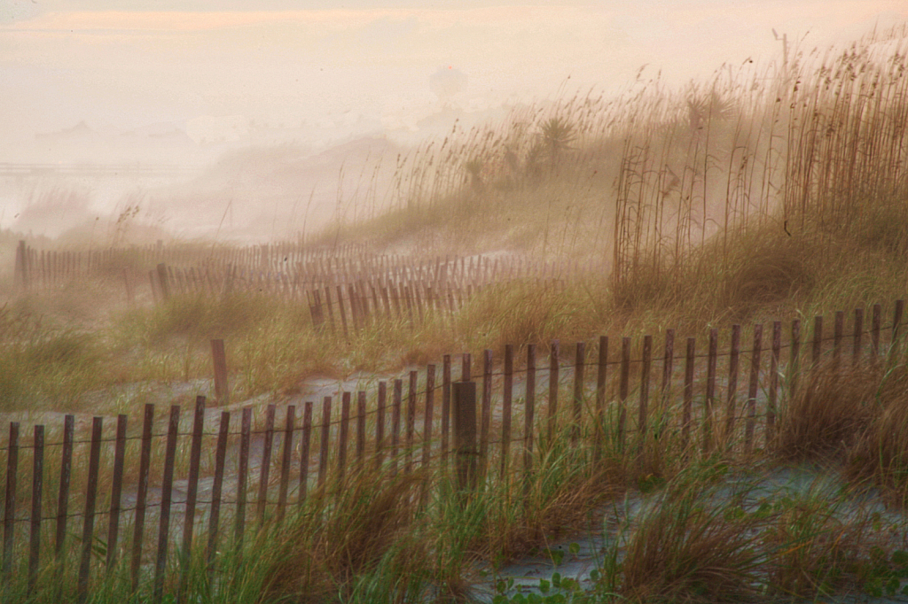 Foggy Morning 