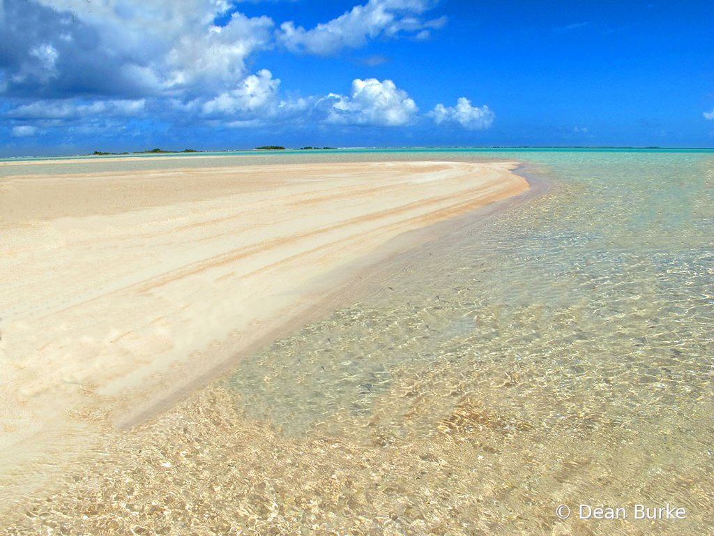 The Sand Bar