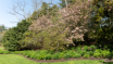 Heritage Gardens