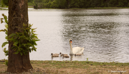 Momma six  Gosling