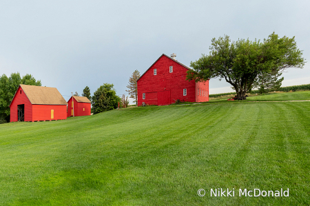 Red Barns at Polenz Ranch