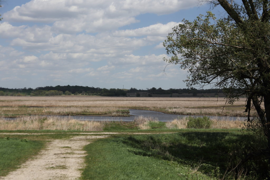 Wisconsin Marshland