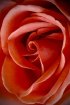 Tender, Fragrant ...