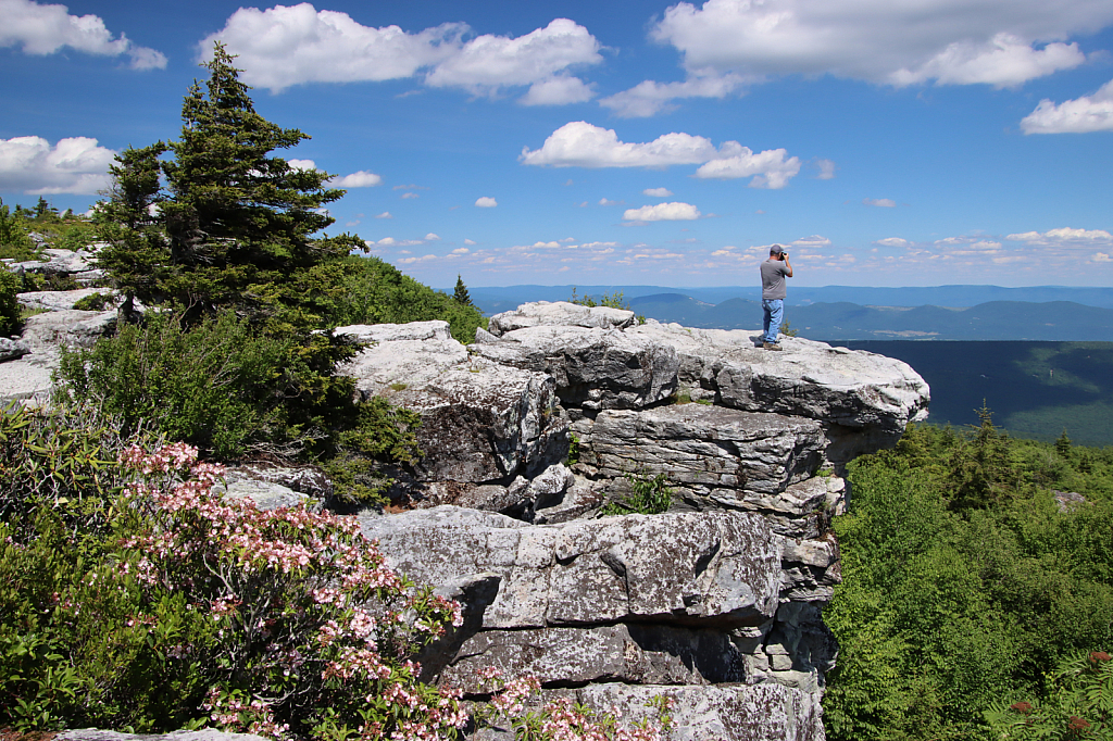 Dolly Sods Overlook