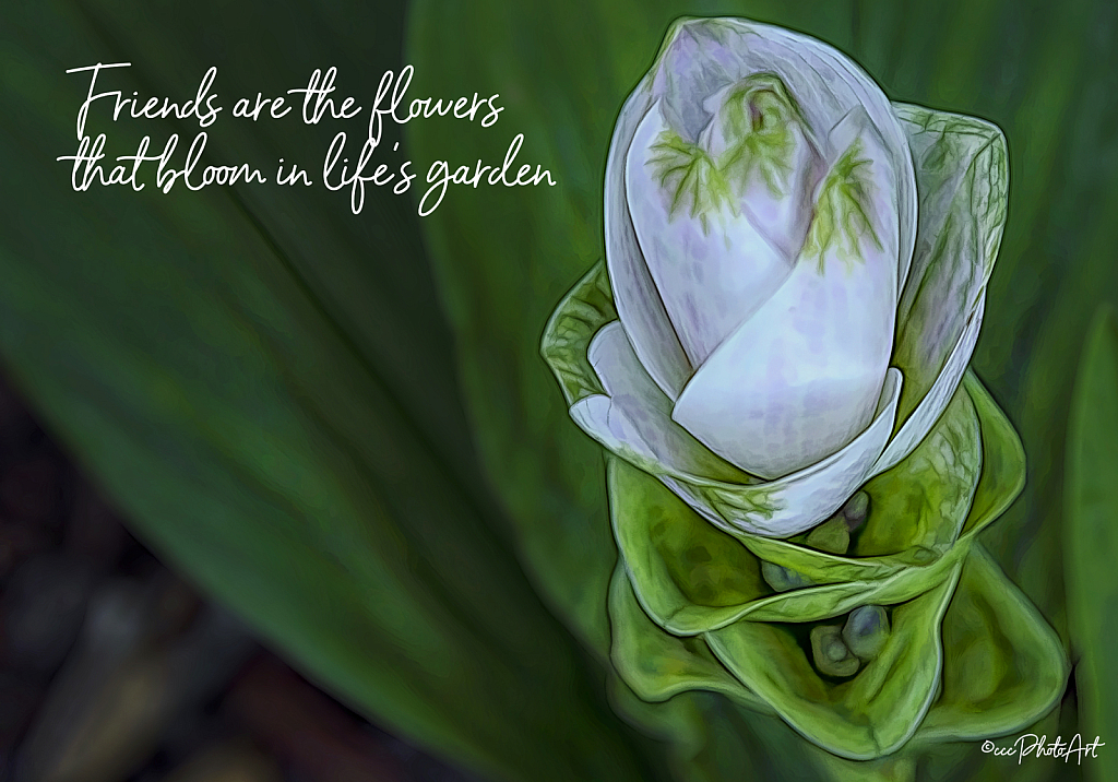 Bloom of Life's Garden