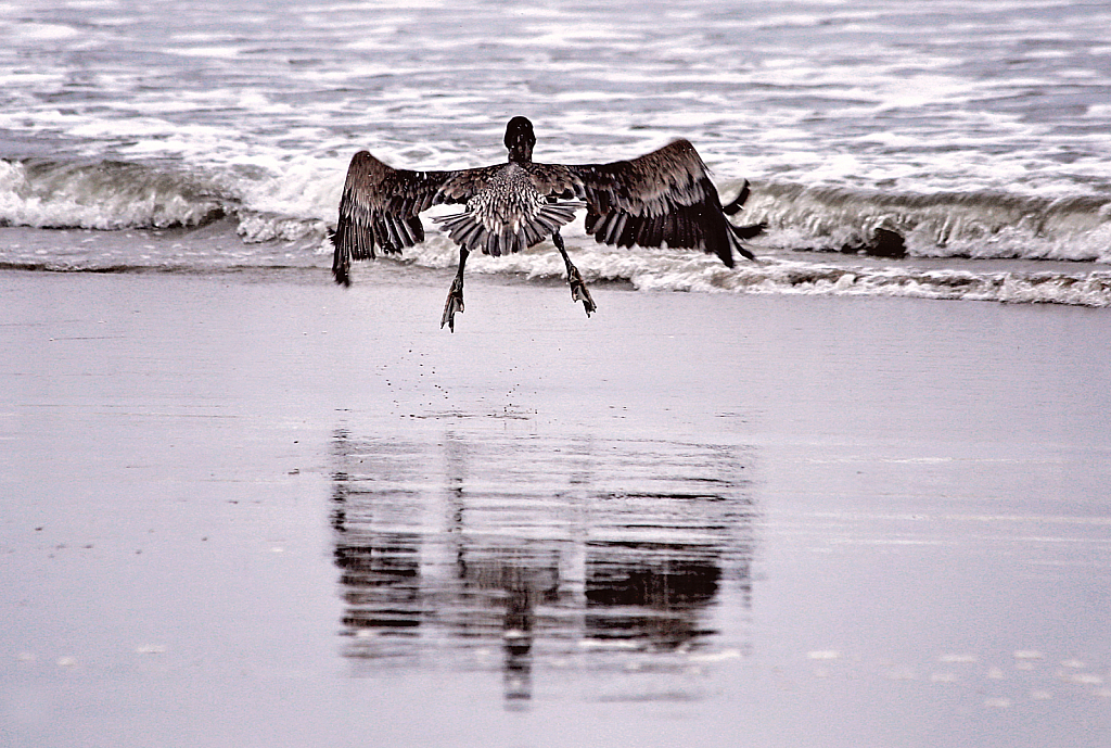 Landing Gear Down