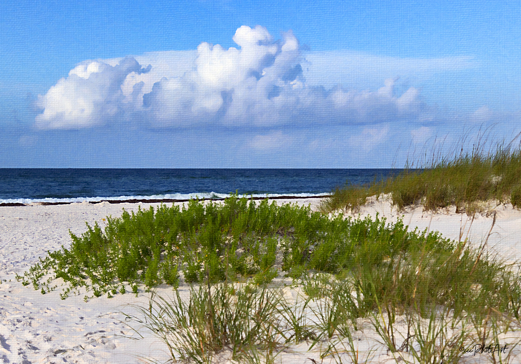 Surf & Sand Dunes - ID: 16004800 © Candice C. Calhoun