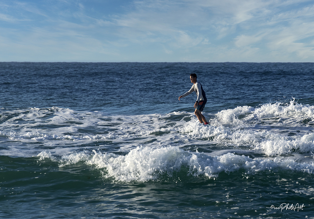 Silver Surfer - ID: 16005024 © Candice C. Calhoun