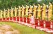 Buddha Images 01