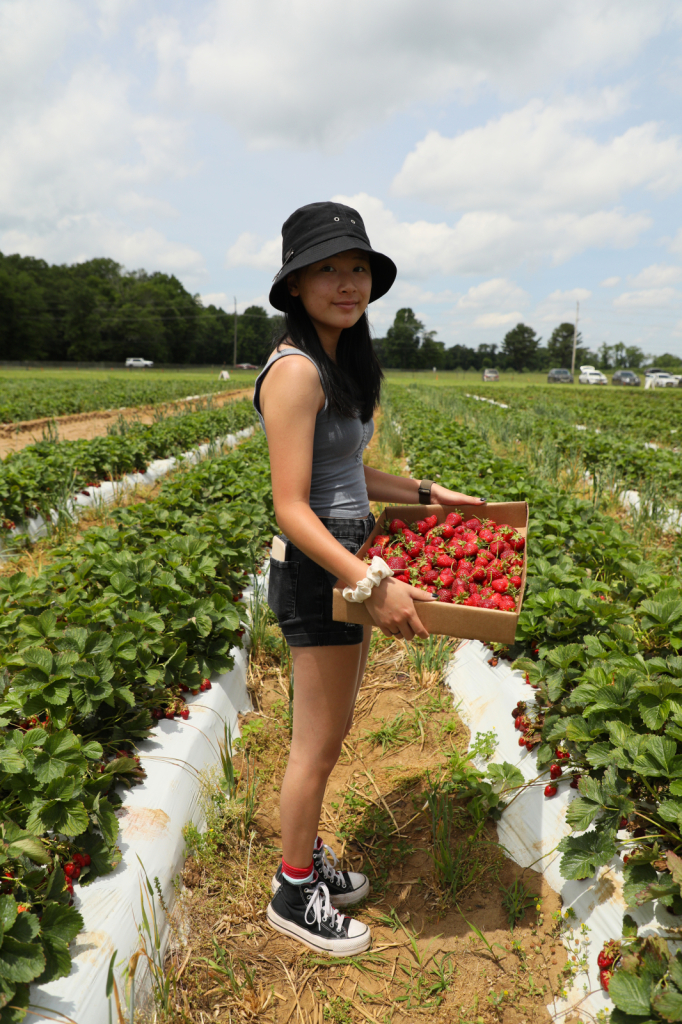 Strawberry Picking with my girl