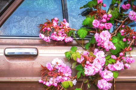 Car Door Floral