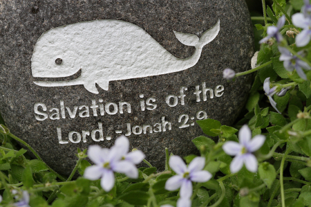 Jonah's Big Fish