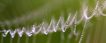 Web Abstract Panorama