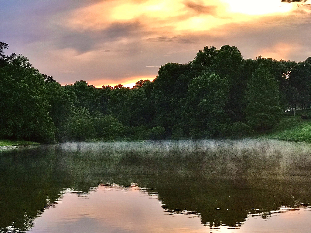 Pond Sunset  - ID: 16006677 © Elizabeth A. Marker