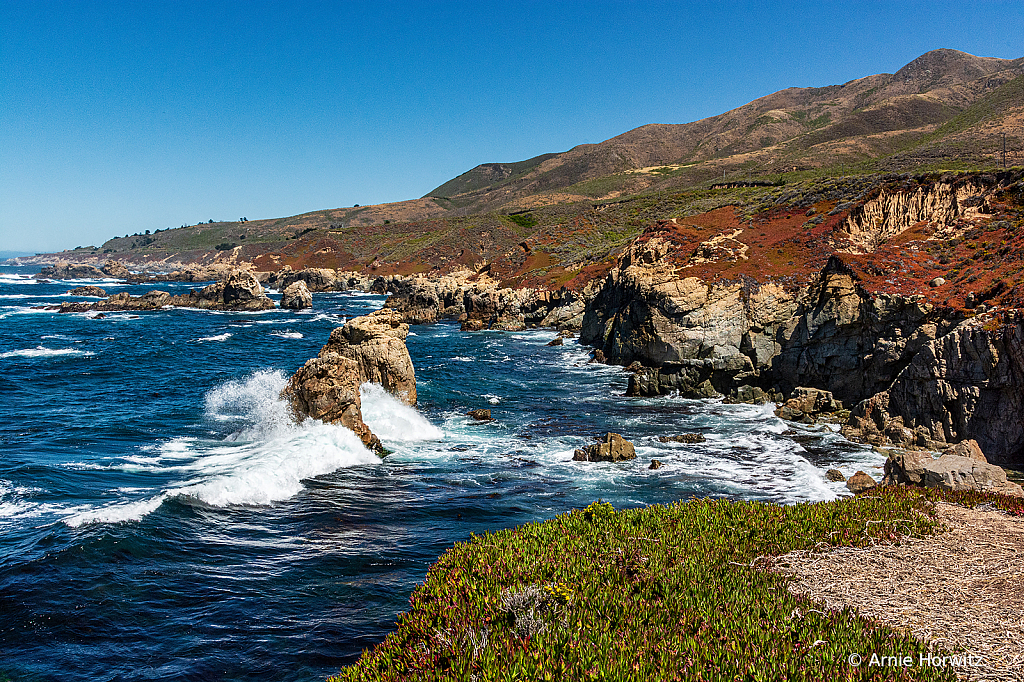 Big Sur Vista - IX