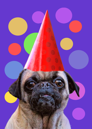 Pugs and Kisses for your Birthday!
