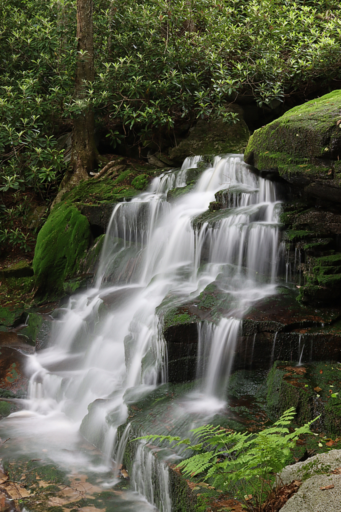 Shay Falls