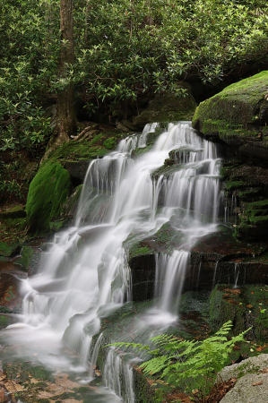 Shay Falls