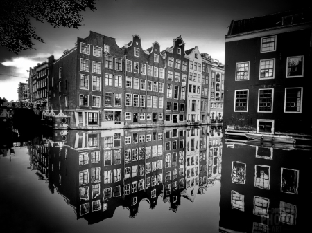 ~ ~ REFLECTIONS OF AMSTERDAM ~ ~ 