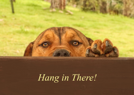 Hang in There!