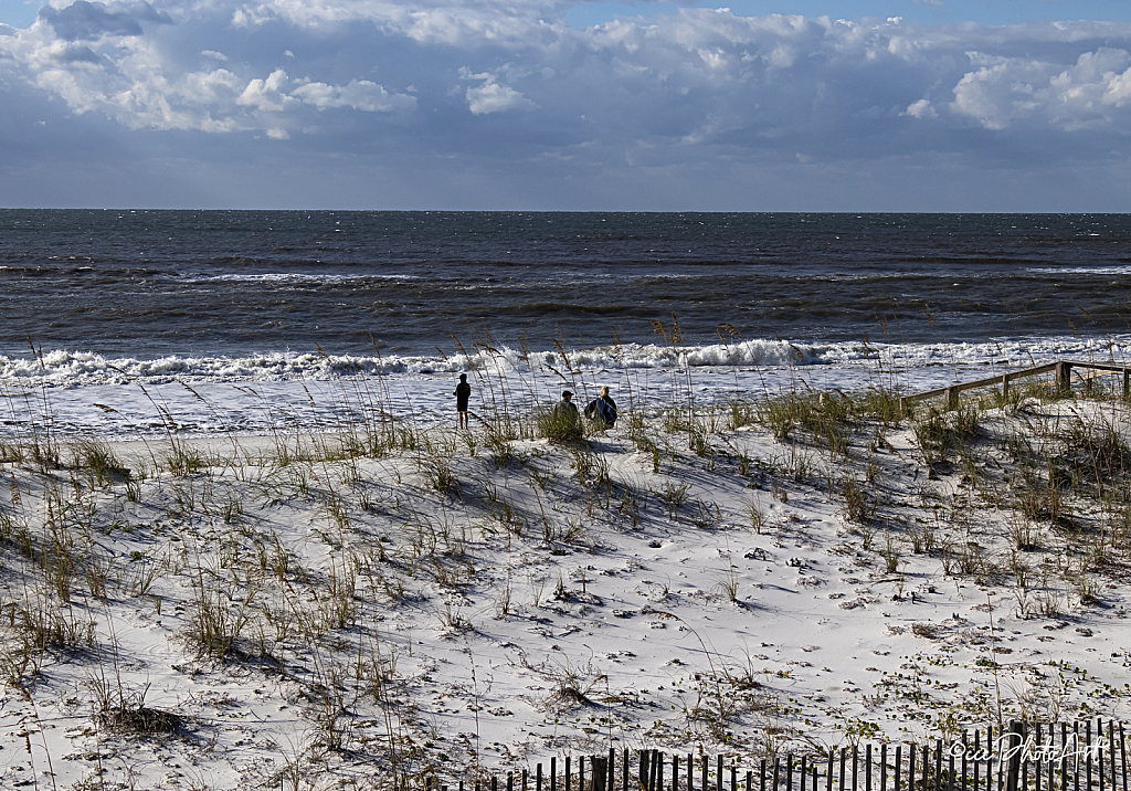 Breakfast at the Beach - ID: 16007400 © Candice C. Calhoun