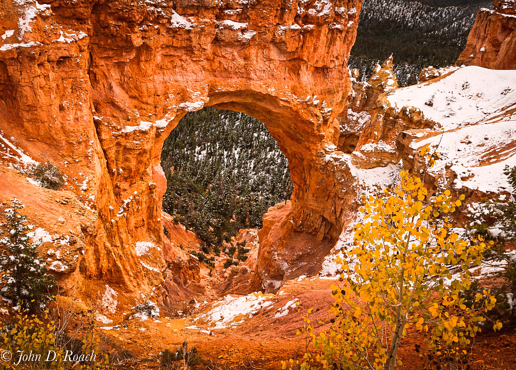 Natural Bridge, Bryce Canyon NP - ID: 16007582 © John D. Roach